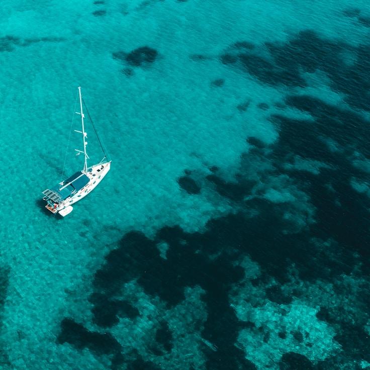 Sea escapade